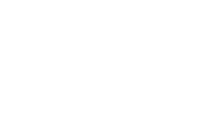 DynConsult